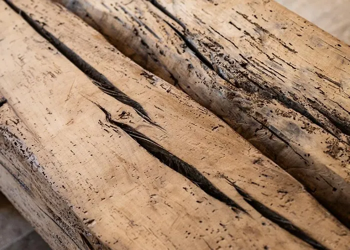 Kaza Bella - Saint Maxime Helia * Sainte-Maxime