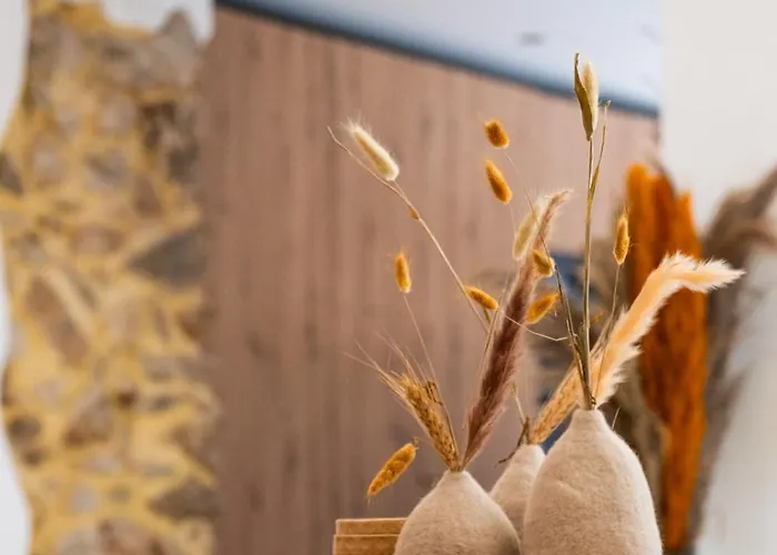 Kaza Bella - Saint Maxime Helia