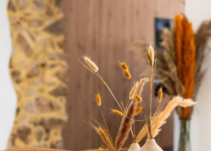 Kaza Bella - Saint Maxime Helia *